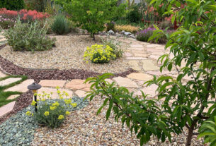 prepare your backyard for landscaping